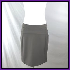 Express Pencil Skirt